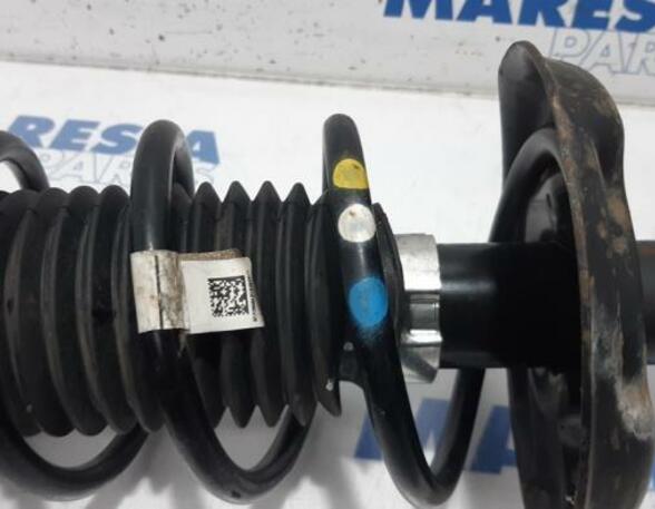 Suspension Strut FIAT Panda (312, 319)