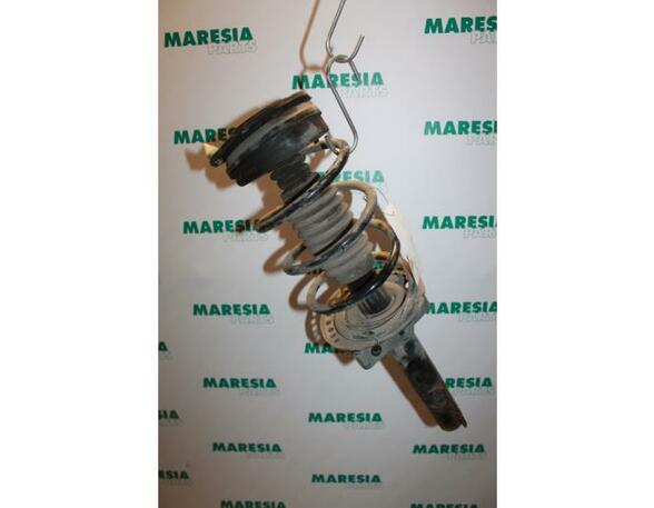 Suspension Strut RENAULT MEGANE II (BM0/1_, CM0/1_)