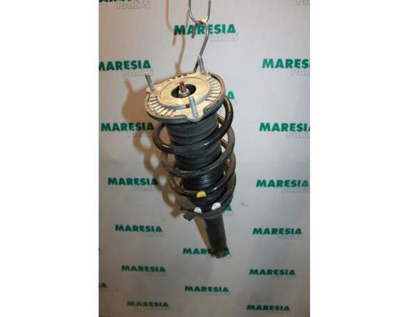 Suspension Strut PEUGEOT 407 (6D)