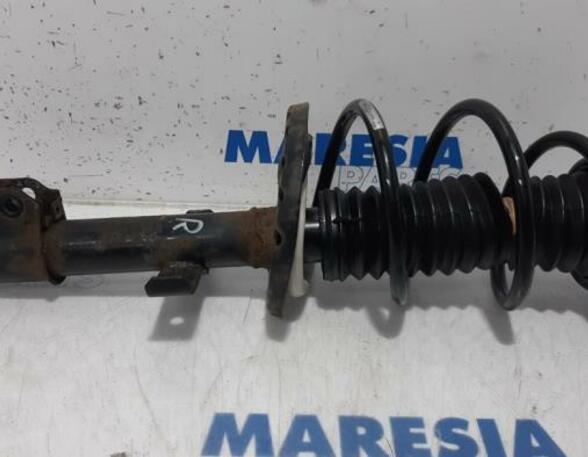 Suspension Strut RENAULT Zoe (BFM)