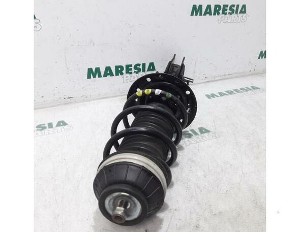 Suspension Strut FIAT Panda (312, 319), FIAT Panda Van (312, 519)