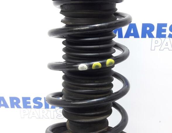 Suspension Strut FIAT Grande Punto (199), FIAT Punto (199), FIAT Punto Evo (199)