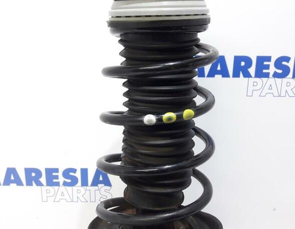 Suspension Strut FIAT Grande Punto (199), FIAT Punto (199), FIAT Punto Evo (199)