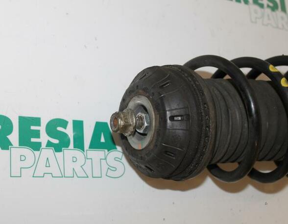 Suspension Strut FIAT Grande Punto (199), FIAT Punto (199), FIAT Punto Evo (199)