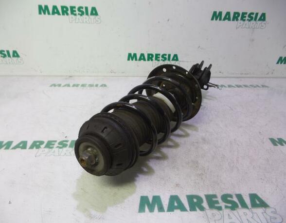 Suspension Strut FIAT Grande Punto (199), FIAT Punto (199), FIAT Punto Evo (199)