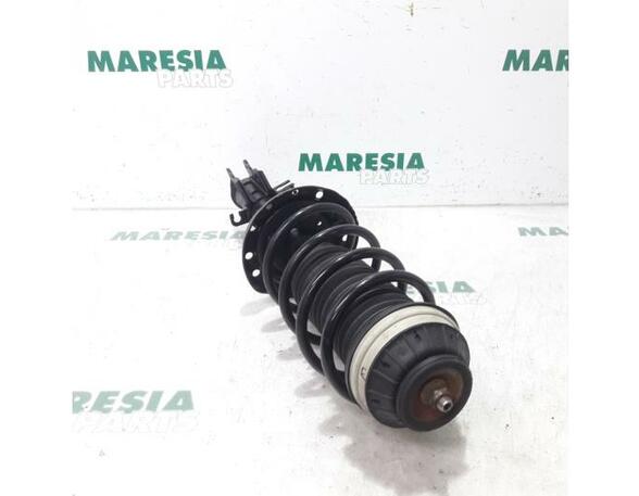 Suspension Strut FIAT Grande Punto (199), FIAT Punto (199), FIAT Punto Evo (199)