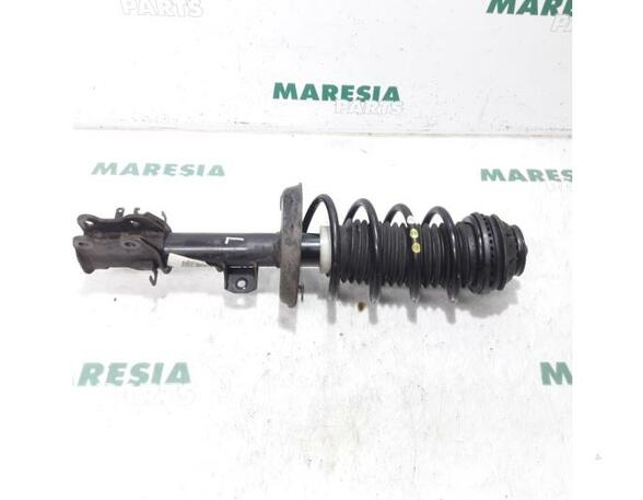 Suspension Strut FIAT Grande Punto (199), FIAT Punto (199), FIAT Punto Evo (199)