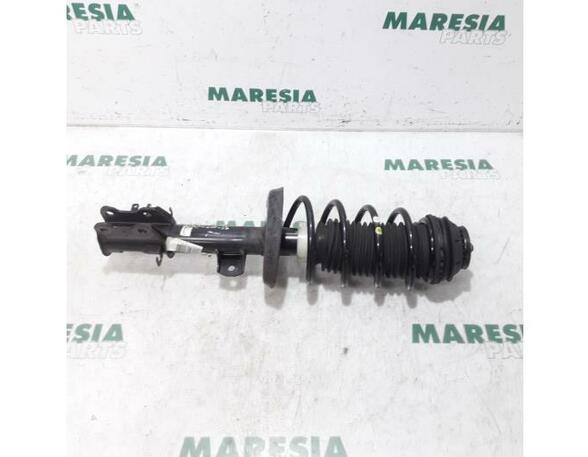 Suspension Strut FIAT Grande Punto (199), FIAT Punto (199), FIAT Punto Evo (199)