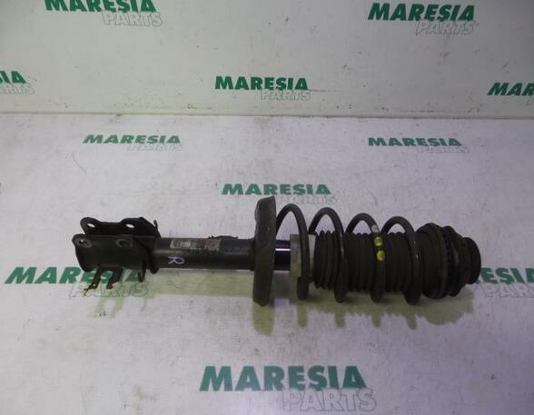 Suspension Strut FIAT Grande Punto (199), FIAT Punto (199), FIAT Punto Evo (199)