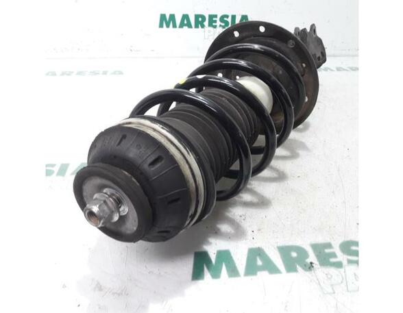 Suspension Strut FIAT Grande Punto (199), FIAT Punto (199), FIAT Punto Evo (199)