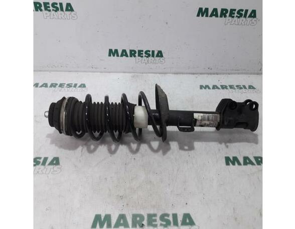 Suspension Strut FIAT Grande Punto (199), FIAT Punto (199), FIAT Punto Evo (199)