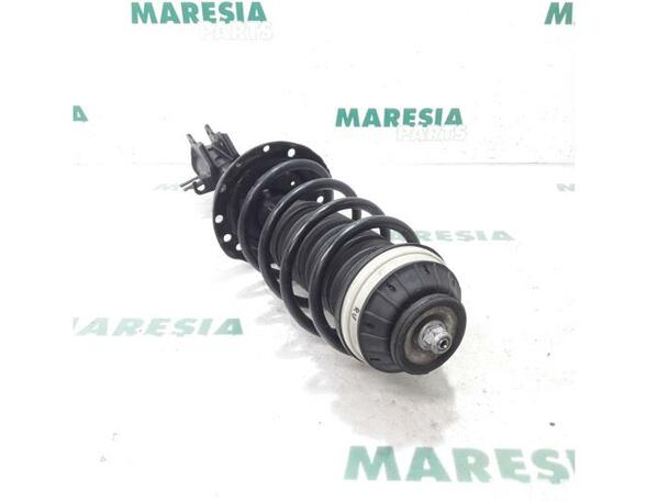 Suspension Strut FIAT Grande Punto (199), FIAT Punto (199), FIAT Punto Evo (199)