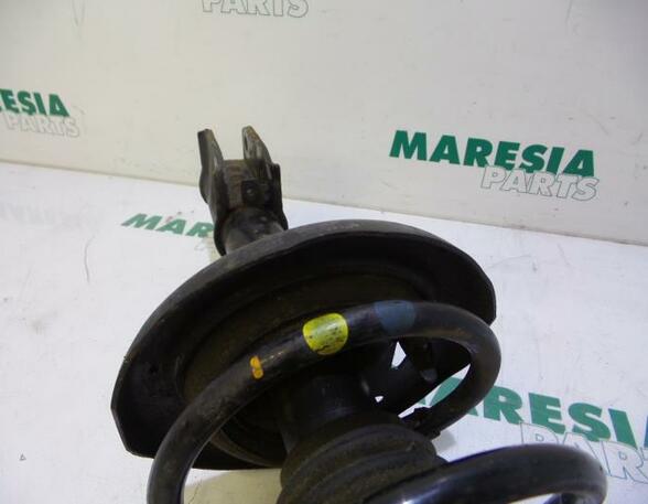 Suspension Strut RENAULT Scénic III (JZ0/1), RENAULT Grand Scénic III (JZ0/1)