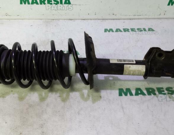 Suspension Strut FIAT Grande Punto (199), FIAT Punto (199), FIAT Punto Evo (199)