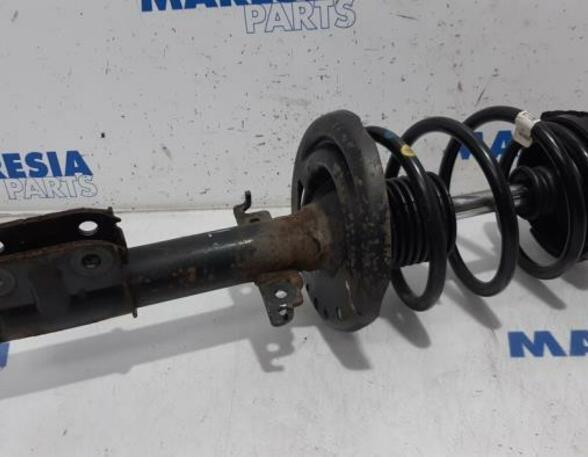 Suspension Strut RENAULT Scénic III (JZ0/1), RENAULT Grand Scénic III (JZ0/1)