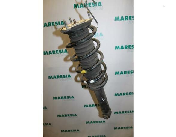 Suspension Strut PEUGEOT 407 (6D)