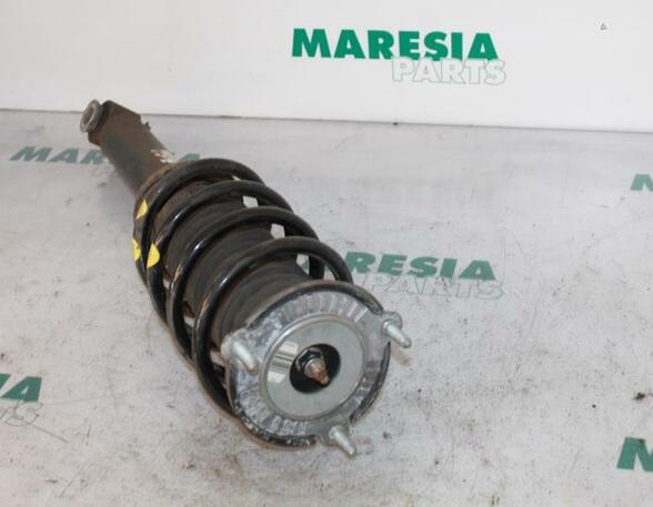 Suspension Strut PEUGEOT 407 (6D)