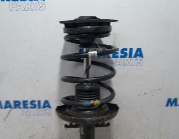 Suspension Strut RENAULT Scénic III (JZ0/1), RENAULT Grand Scénic III (JZ0/1)