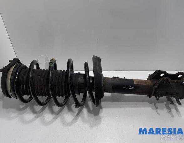 Suspension Strut FIAT DOBLO Cargo (263_)