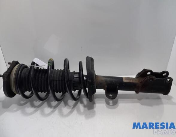 Suspension Strut FIAT DOBLO Cargo (263_)