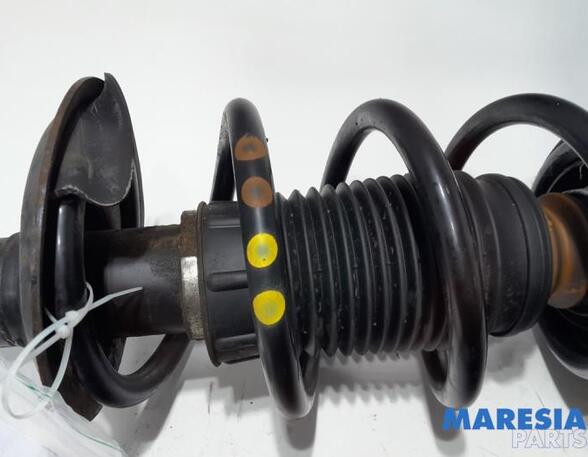 Suspension Strut FIAT DUCATO Van (250_, 290_)