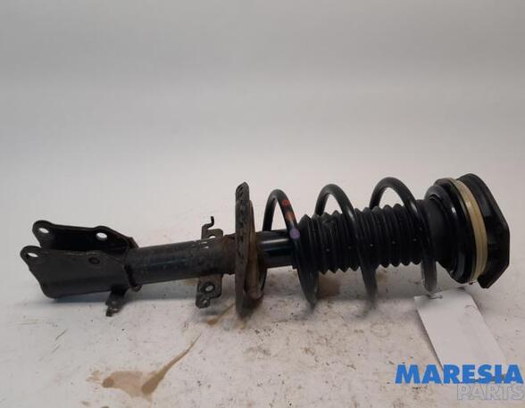 Suspension Strut RENAULT KANGOO Express (FW0/1_)