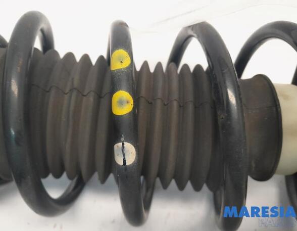 Suspension Strut FIAT Grande Punto (199), FIAT Punto (199), FIAT Punto Evo (199)