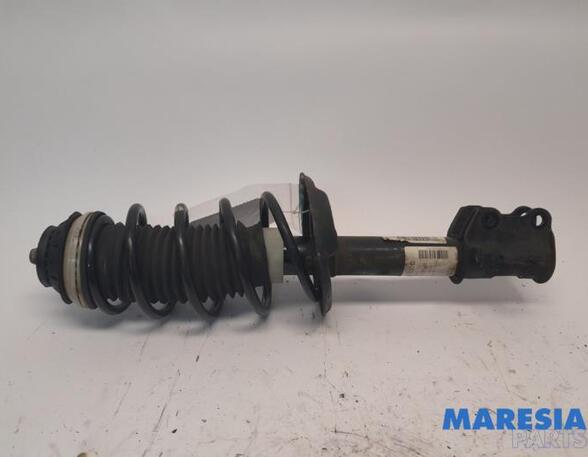 Suspension Strut FIAT Grande Punto (199), FIAT Punto (199), FIAT Punto Evo (199)