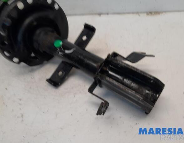 Suspension Strut RENAULT Zoe (BFM)