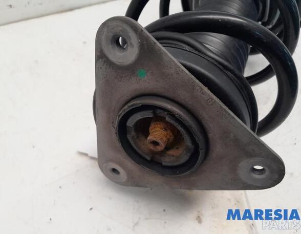 Suspension Strut RENAULT Zoe (BFM)