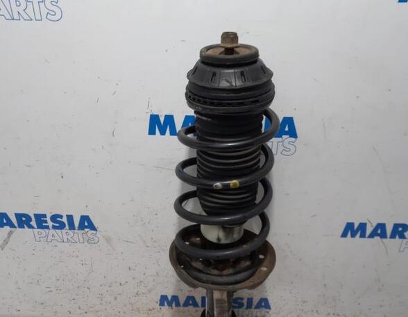 Suspension Strut FIAT GRANDE PUNTO (199_), FIAT PUNTO (199_), FIAT PUNTO EVO (199_), ALFA ROMEO MITO (955_)