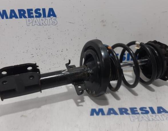 Suspension Strut RENAULT SCÉNIC III (JZ0/1_)