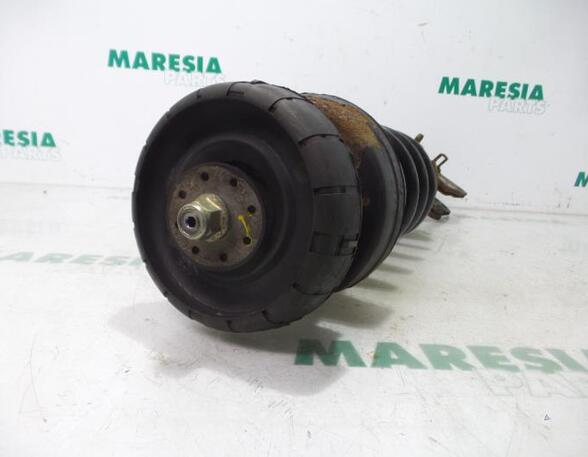 Suspension Strut RENAULT TRAFIC II Van (FL)