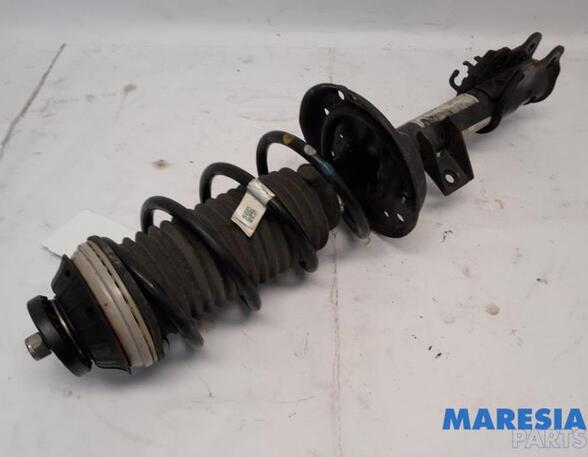 Suspension Strut FIAT PANDA (312_, 319_), LANCIA YPSILON (312_), FIAT PANDA VAN (312_, 519_)