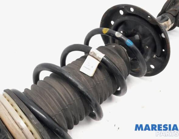 Federbein links vorne Fiat Panda 312, 319 51926519 P20766477