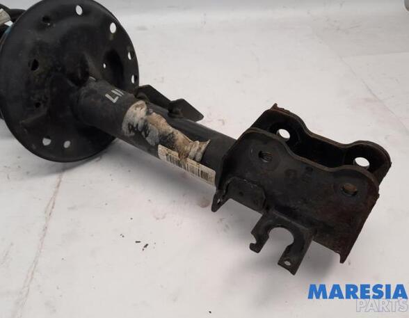 Suspension Strut FIAT PANDA (312_, 319_), LANCIA YPSILON (312_), FIAT PANDA VAN (312_, 519_)