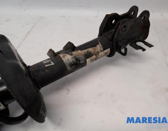 Suspension Strut FIAT PANDA (312_, 319_), LANCIA YPSILON (312_), FIAT PANDA VAN (312_, 519_)