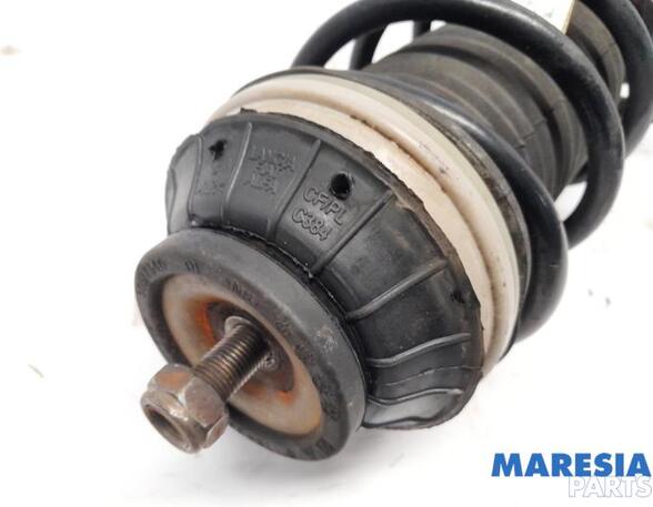 Suspension Strut FIAT PANDA (312_, 319_), LANCIA YPSILON (312_), FIAT PANDA VAN (312_, 519_)