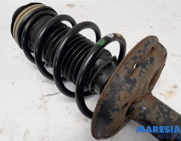 Suspension Strut FIAT PANDA (312_, 319_), FIAT PANDA VAN (312_, 519_), LANCIA YPSILON (312_), FIAT PUNTO (199_)