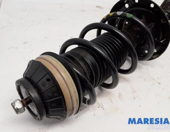 Suspension Strut FIAT PANDA (312_, 319_), FIAT PANDA VAN (312_, 519_), LANCIA YPSILON (312_), FIAT PUNTO (199_)