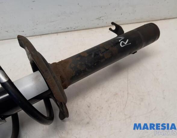 Suspension Strut PEUGEOT 107 (PM_, PN_), CITROËN C1 (PM_, PN_)