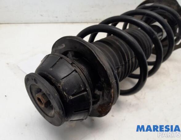 Suspension Strut PEUGEOT 107 (PM_, PN_), CITROËN C1 (PM_, PN_)