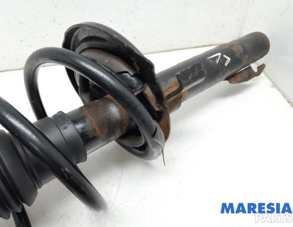 Suspension Strut RENAULT GRAND SCÉNIC II (JM0/1_), RENAULT SCÉNIC II (JM0/1_)