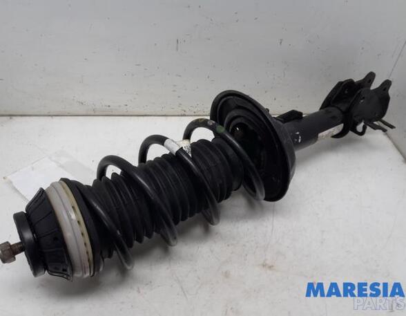 Suspension Strut ALFA ROMEO MITO (955_), FIAT PANDA (312_, 319_), FIAT PANDA VAN (312_, 519_), LANCIA YPSILON (312_)