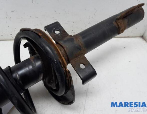 Suspension Strut RENAULT GRAND SCÉNIC II (JM0/1_), RENAULT SCÉNIC II (JM0/1_)