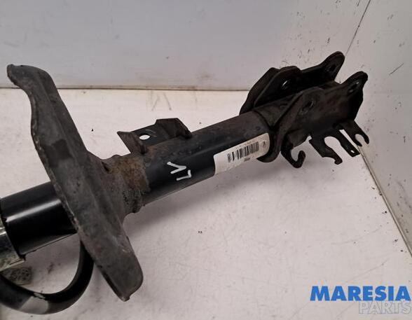 Suspension Strut FIAT 500 (312_), FIAT 500 C (312_)