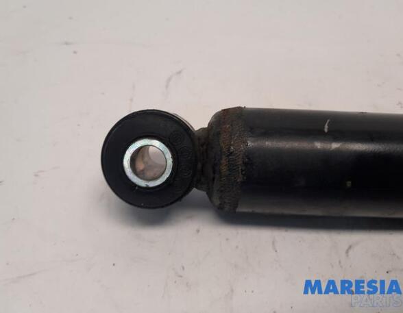 Shock Absorber FIAT Panda (312, 319)