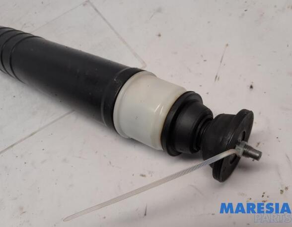 Shock Absorber RENAULT ZOE Hatchback Van (BFM_), RENAULT ZOE (BFM_)