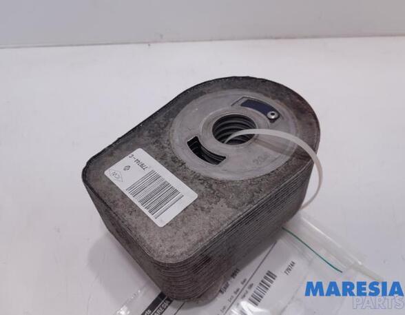 Oil Filter Housing Box RENAULT MEGANE III Hatchback (BZ0/1_, B3_)