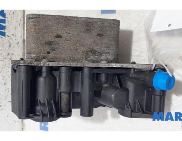 Oil Filter Housing Box RENAULT Trafic III Kasten (FG), NISSAN NV300 Kasten (X82)